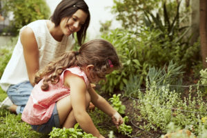 GettyImages   simple steps toward helping the environment