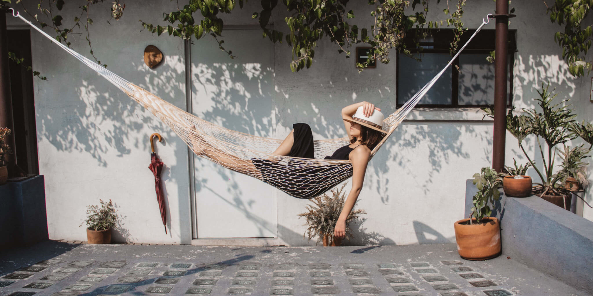 Shaklee. Where Health Meets Science Meets Nature.