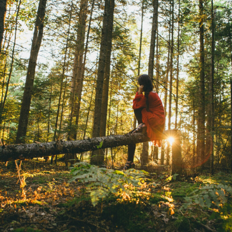 A person in a red jacket sits on a fallen log in a sunlit forest.