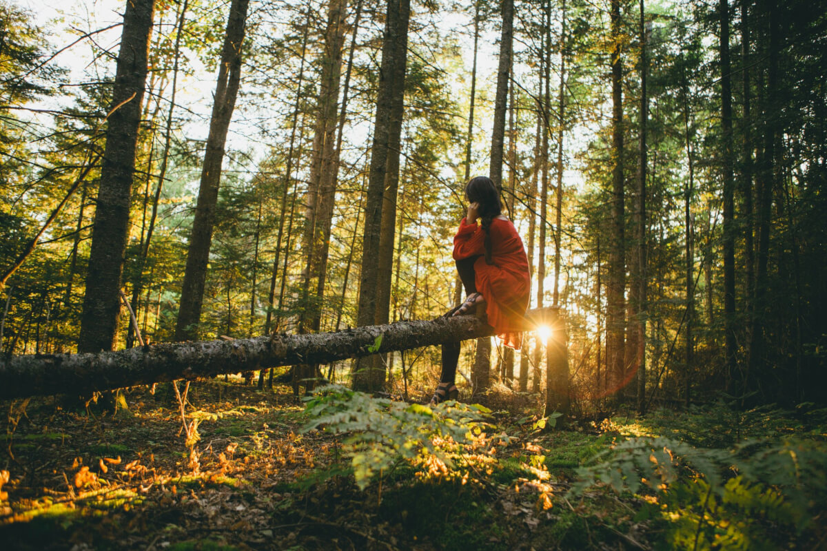 A person in a red jacket sits on a fallen log in a sunlit forest.