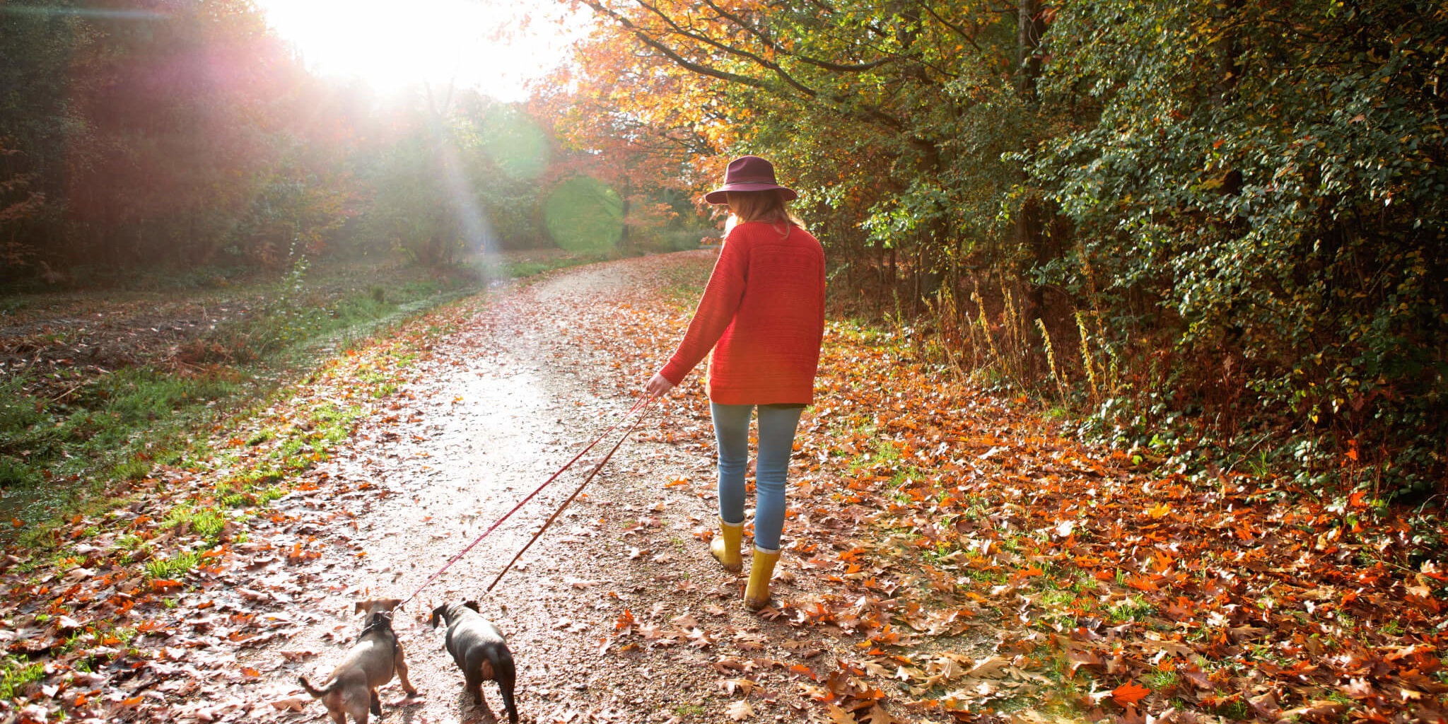 Shaklee. Where Health Meets Science Meets Nature.