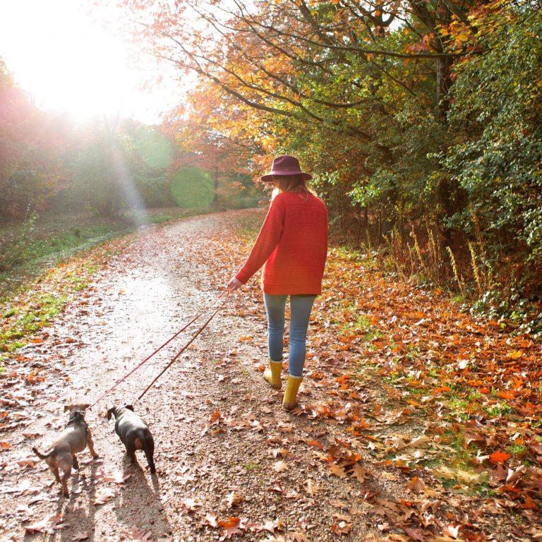 Shaklee. Where Health Meets Science Meets Nature.