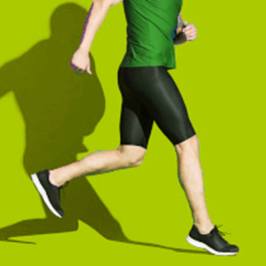 Fitness and Exercise Workouts for Weight Loss