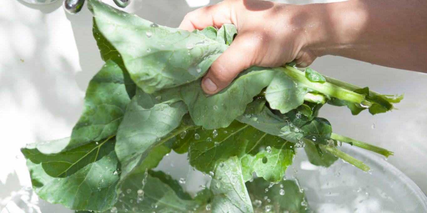 Shaklee. Where Health Meets Science Meets Nature.