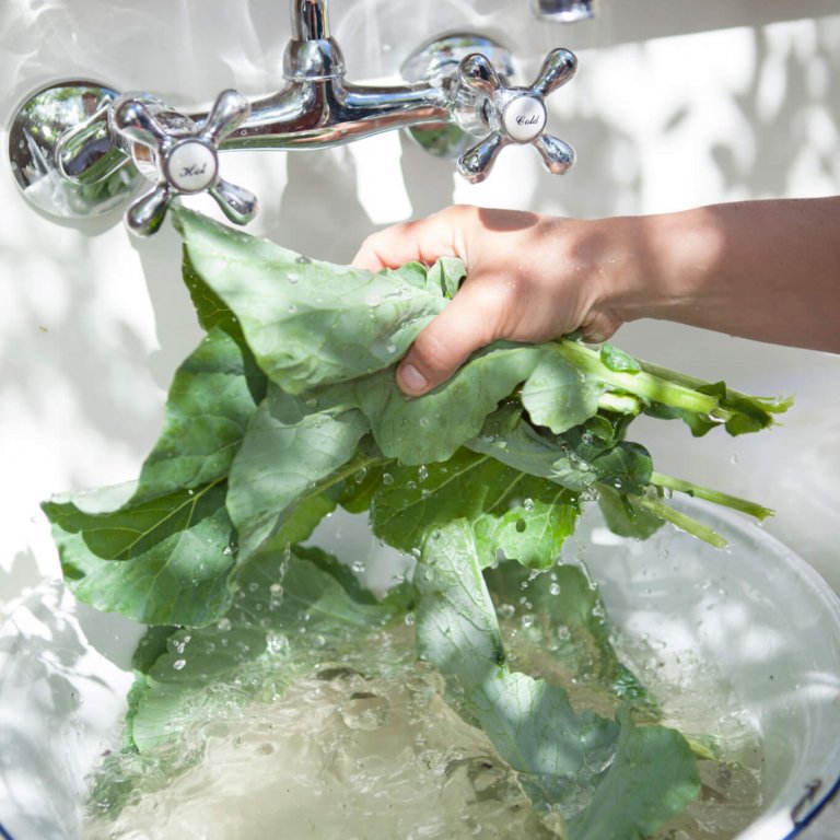 Shaklee. Where Health Meets Science Meets Nature.