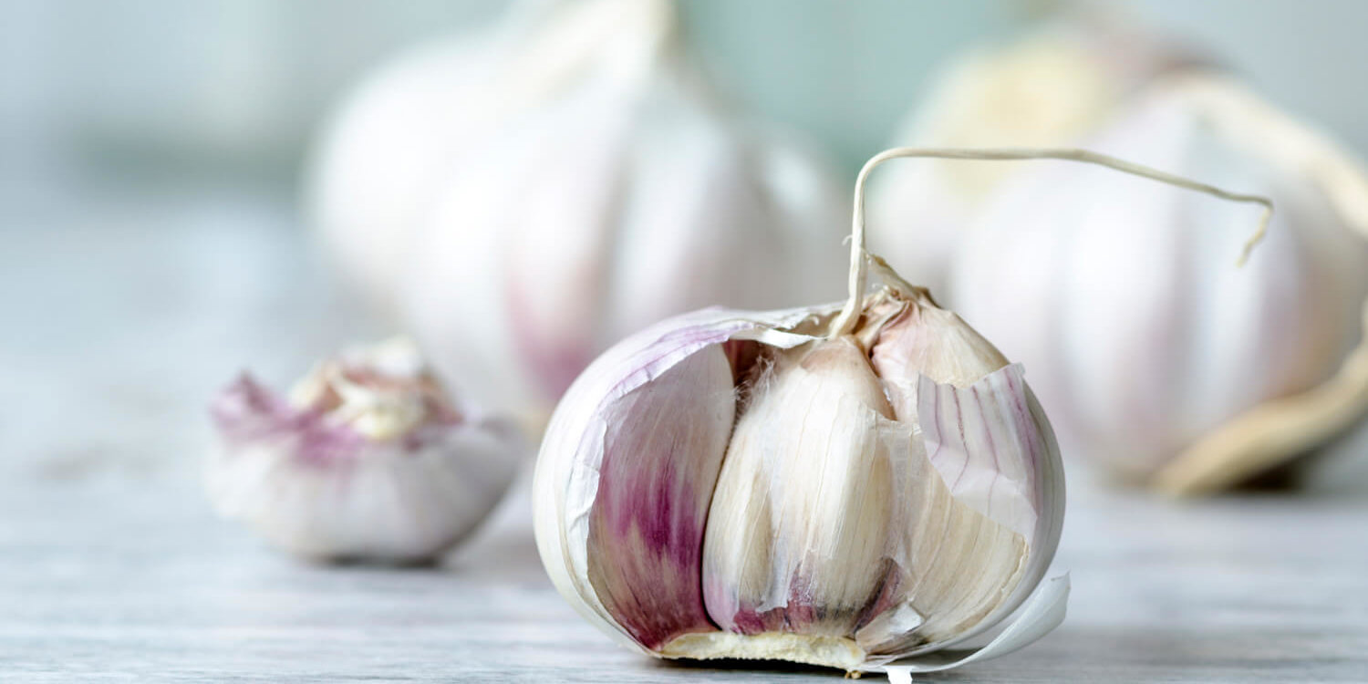 Shaklee. Where Health Meets Science Meets Nature.