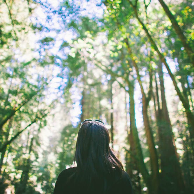 Shaklee. Where Health Meets Science Meets Nature.