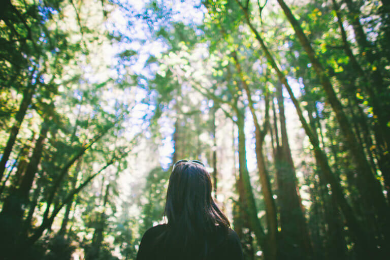 Shaklee. Where Health Meets Science Meets Nature.