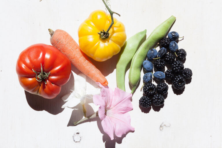 Shaklee. Where Health Meets Science Meets Nature.