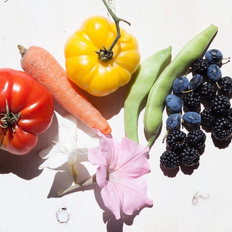 Shaklee. Where Health Meets Science Meets Nature.