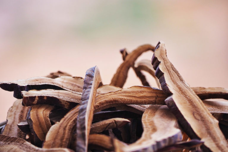 Shaklee. Where Health Meets Science Meets Nature.