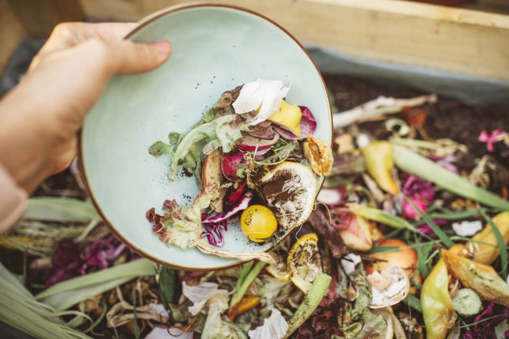 A Guide to Composting