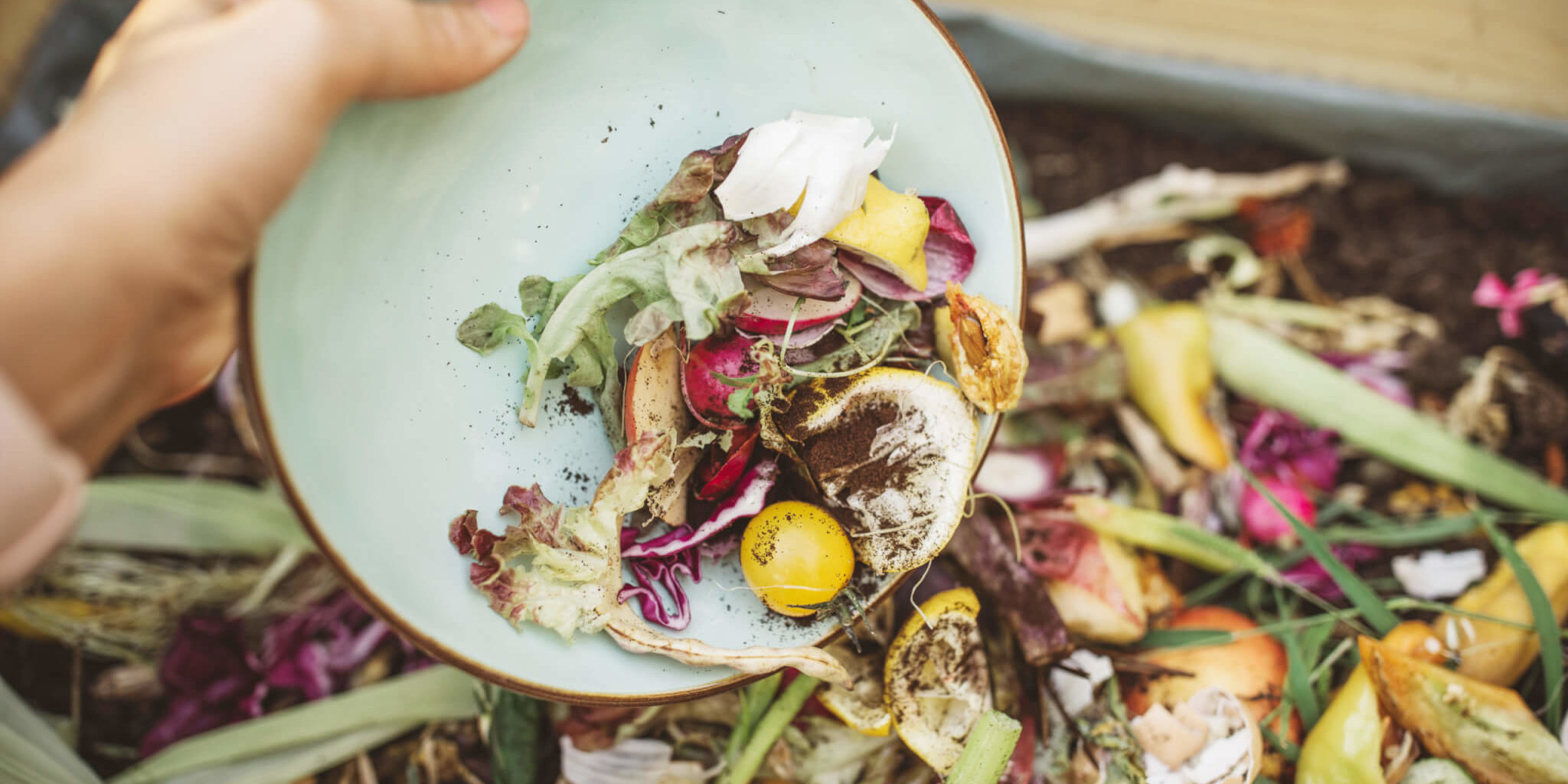 Shaklee. Where Health Meets Science Meets Nature.