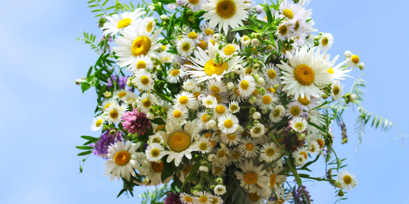 Shaklee. Where Health Meets Science Meets Nature.