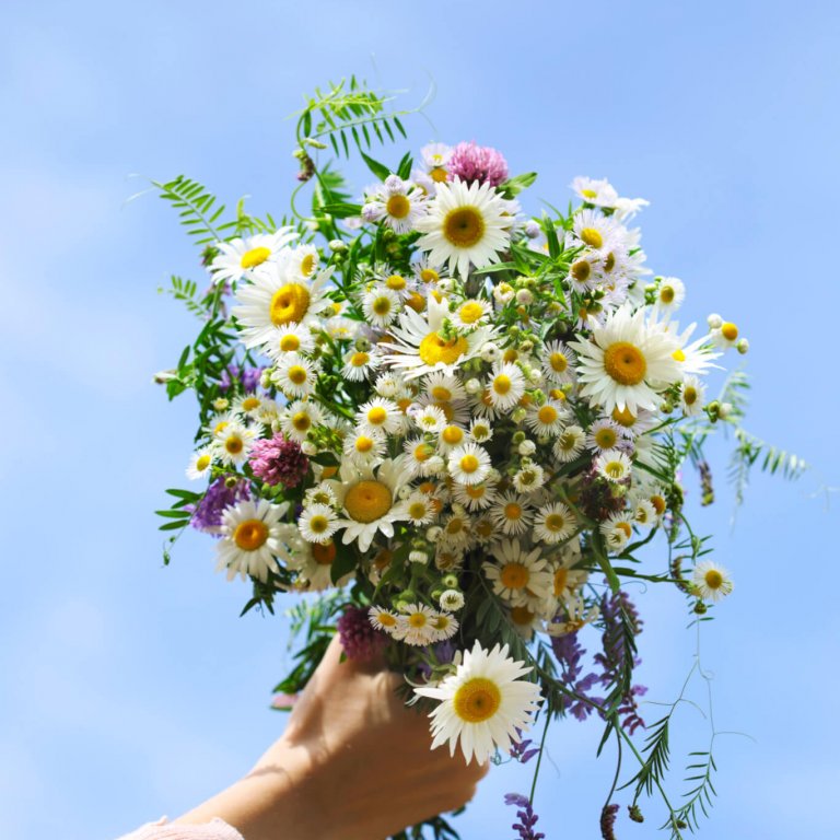 Shaklee. Where Health Meets Science Meets Nature.