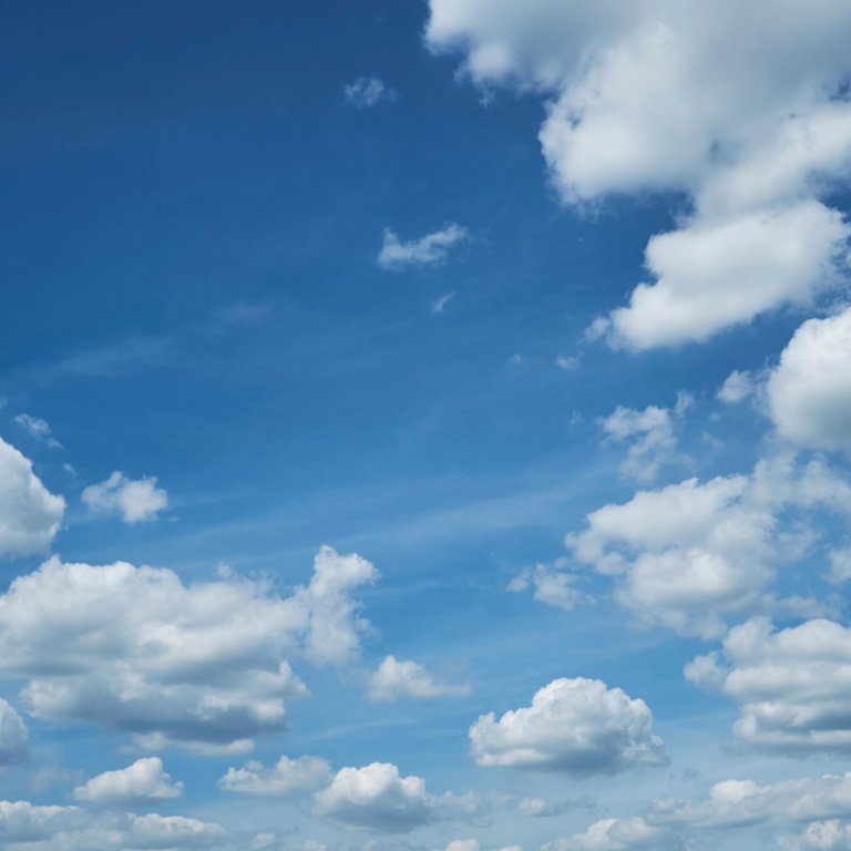 Shaklee. Where Health Meets Science Meets Nature.