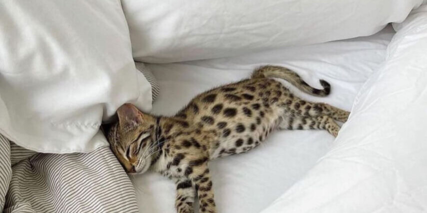 Friday night plans: Dream Serene and Sleep. What about you?​​​​​​​​​​​​​​​​​​​​​​​​