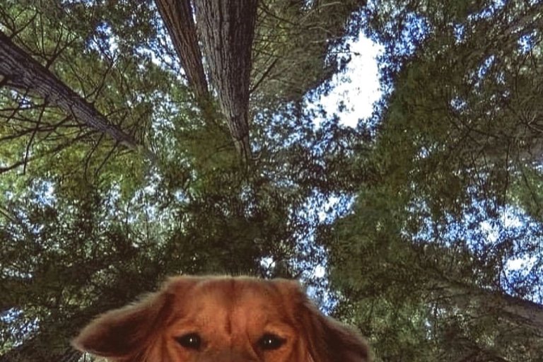 Facetiming Mom to tell her thank you for using non-toxic cleaning products