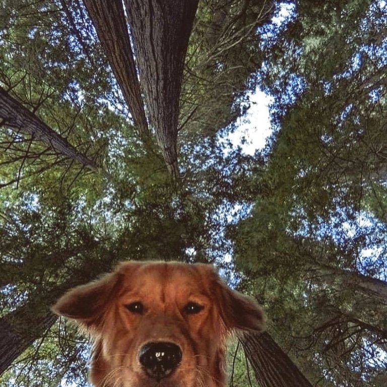 Facetiming Mom to tell her thank you for using non-toxic cleaning products