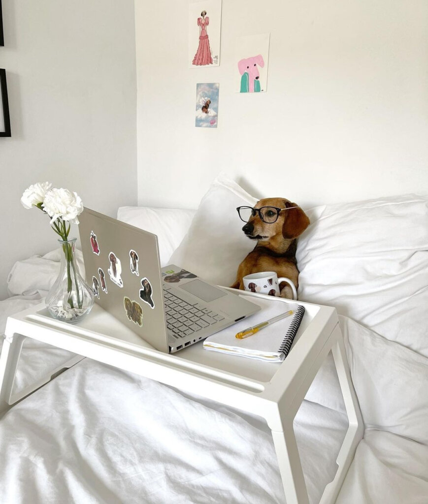 We'll be taking our zoom meetings from bed today while we wait for the weekend.