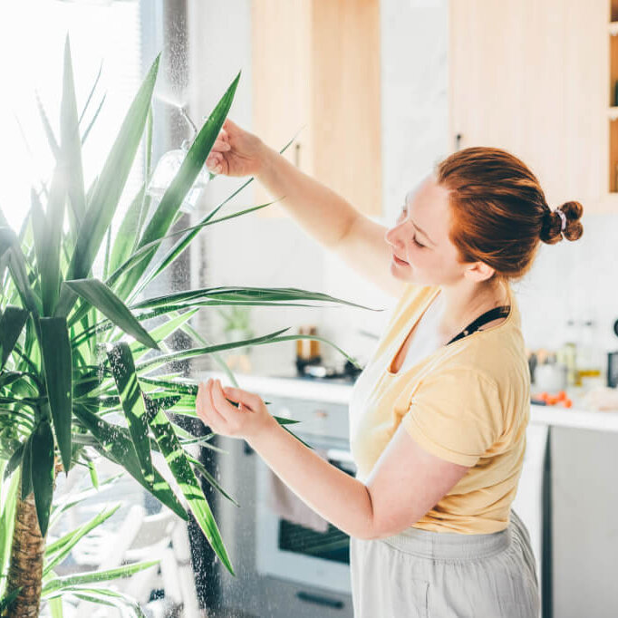 mood boosting mindfulness tips for spring