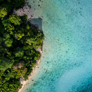 Shaklee's mission to improve sustainability and reduce our impact.