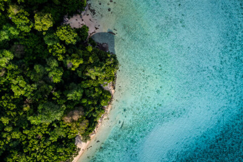 Shaklee's mission to improve sustainability and reduce our impact.