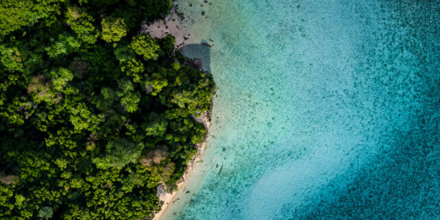 Shaklee's mission to improve sustainability and reduce our impact.